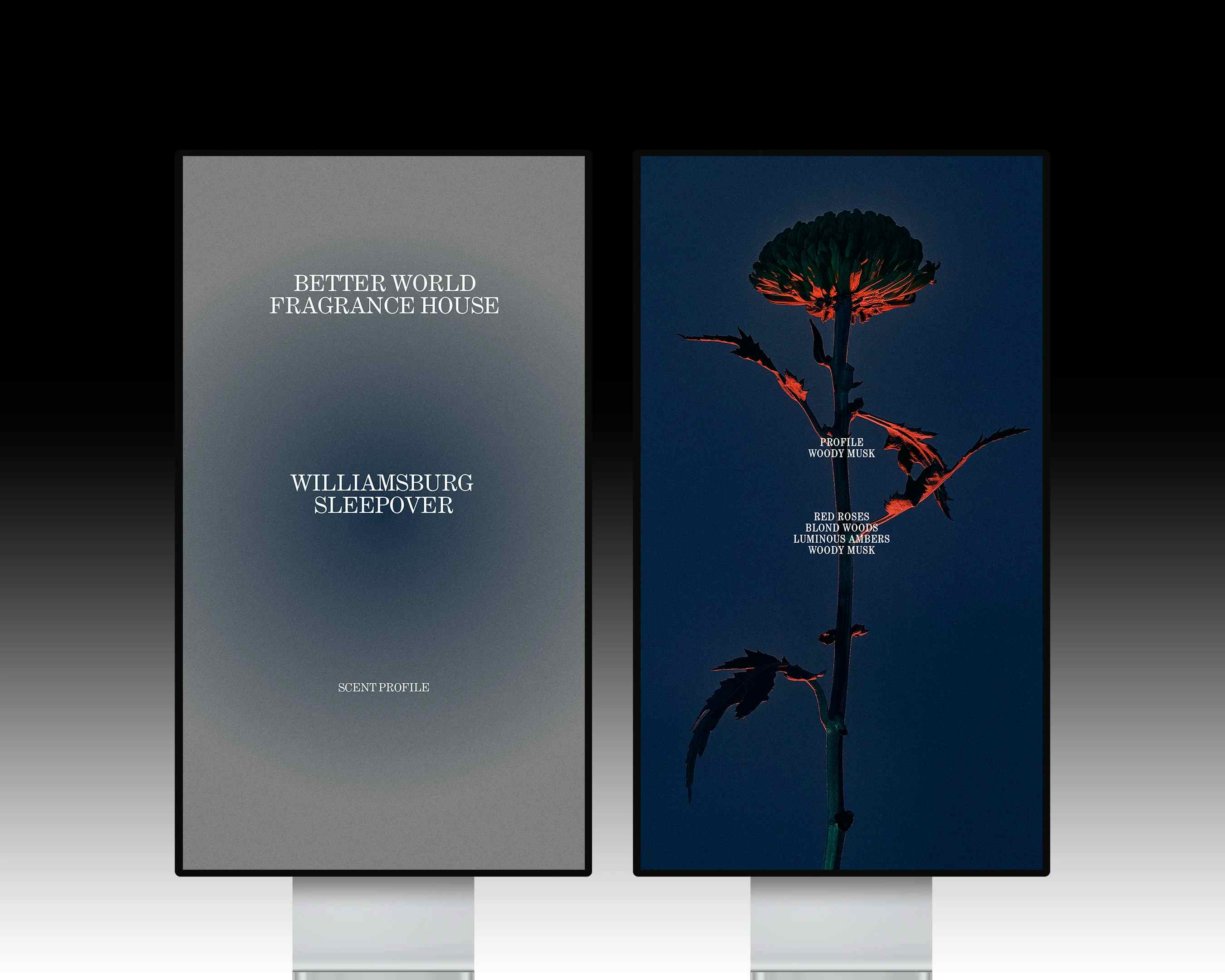 Better World Fragrance House Design, Retouch, Motion & More Brand Collateral